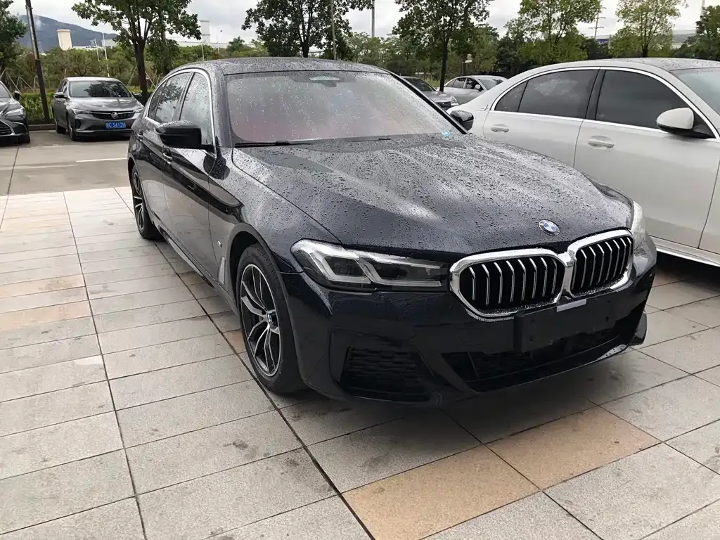 BMW 5 Series New Energy — фото 6