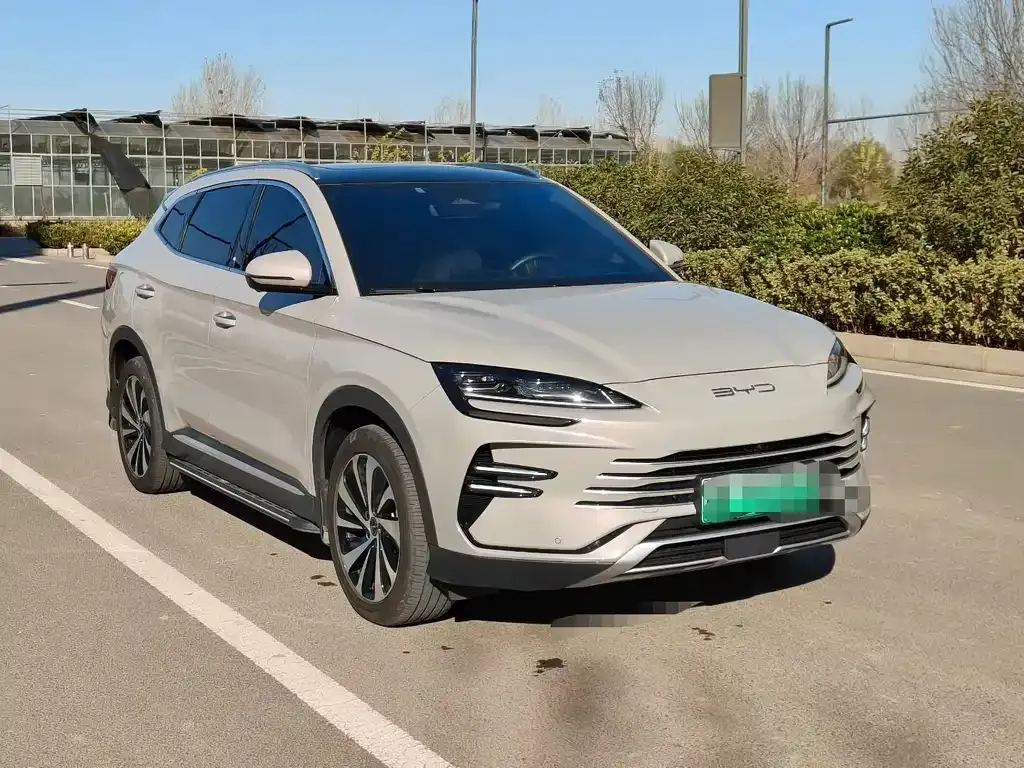 BYD PLUS New Energy — фото 1