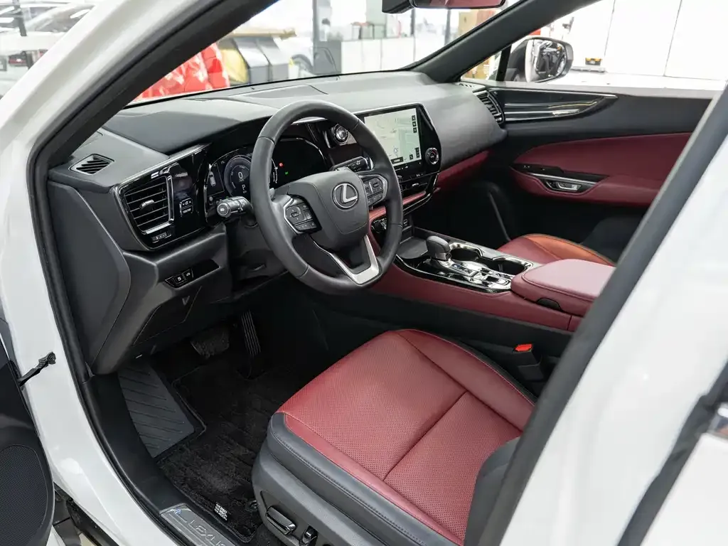 Lexus NX — фото 9