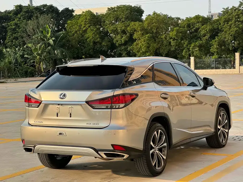 Lexus RX — фото 9