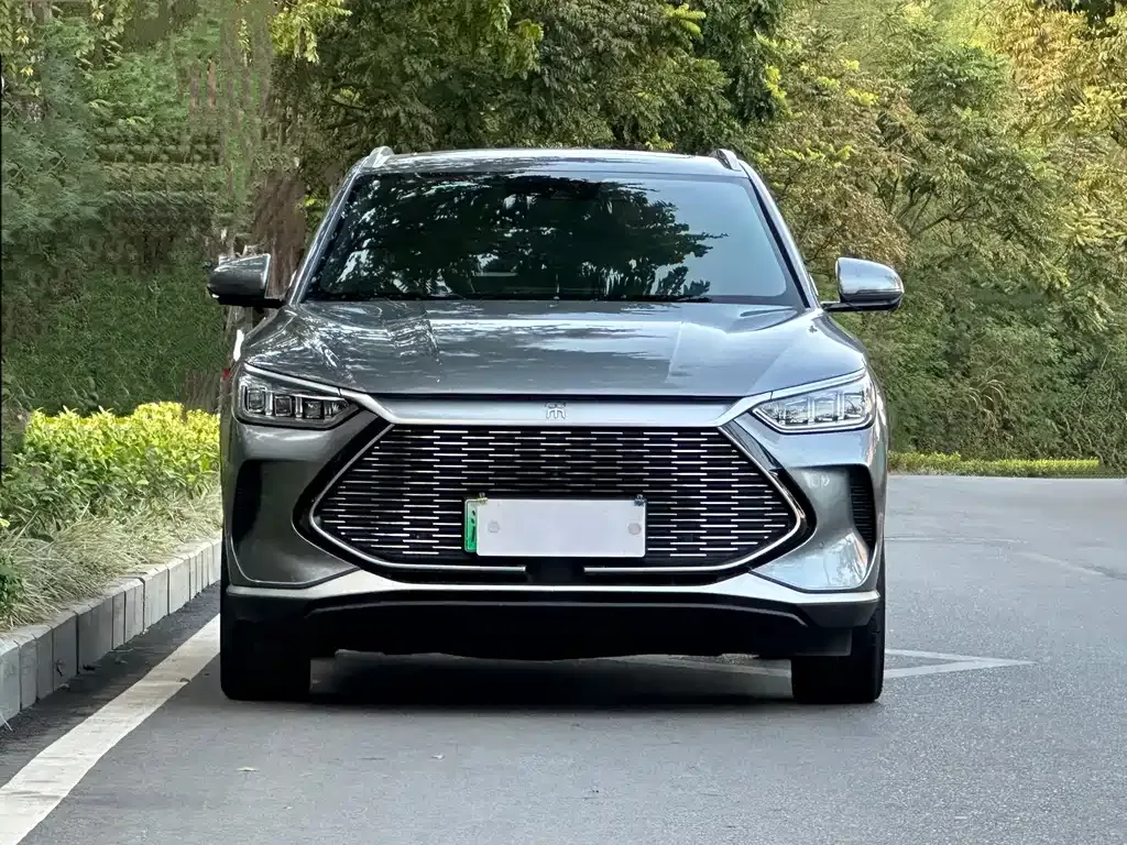 BYD PLUS New Energy — фото 4