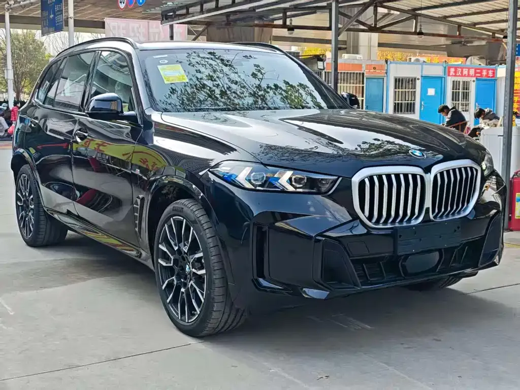 BMW X5 — фото 10