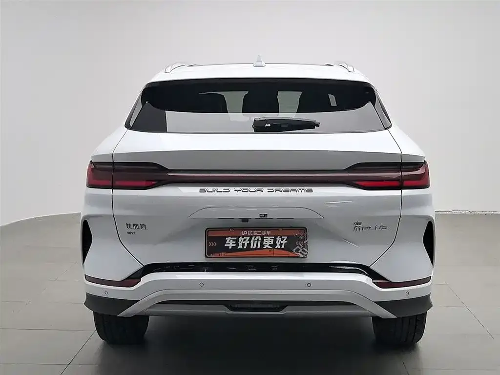 BYD PLUS New Energy — фото 10
