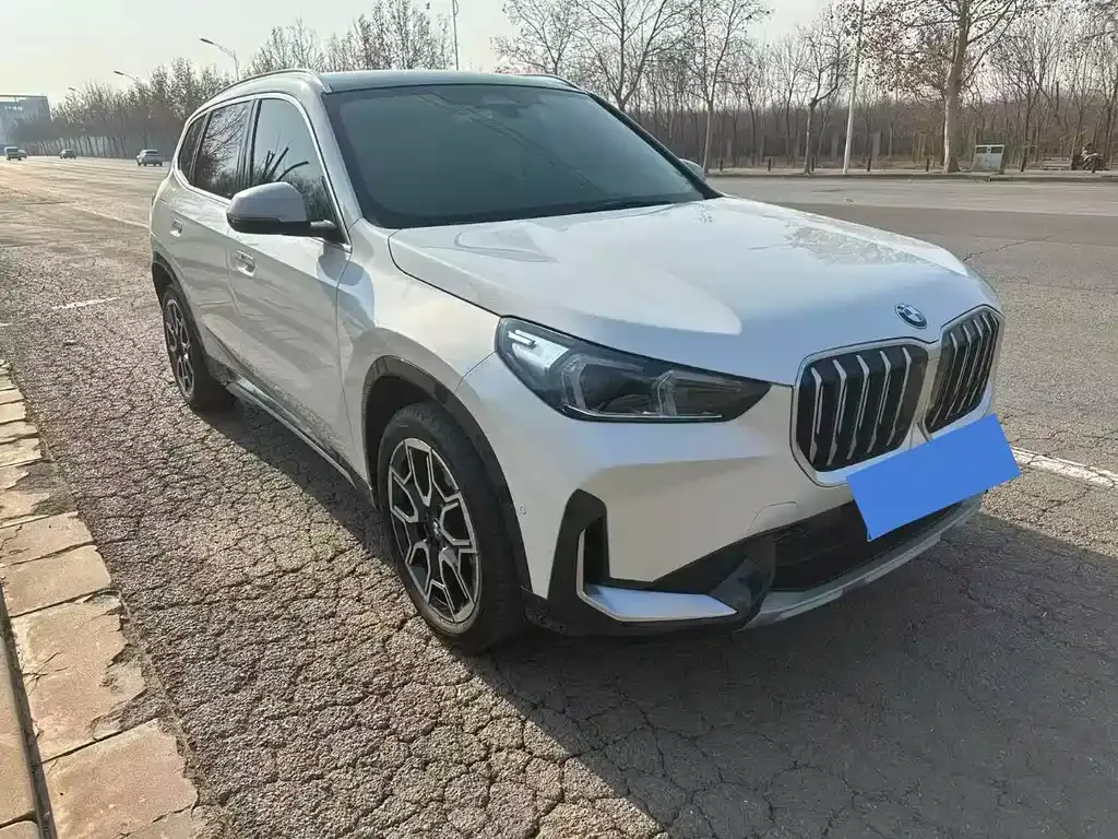 BMW X1 — фото 1