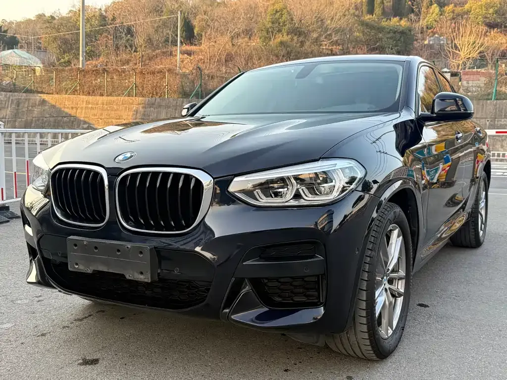 BMW X4 — фото 1