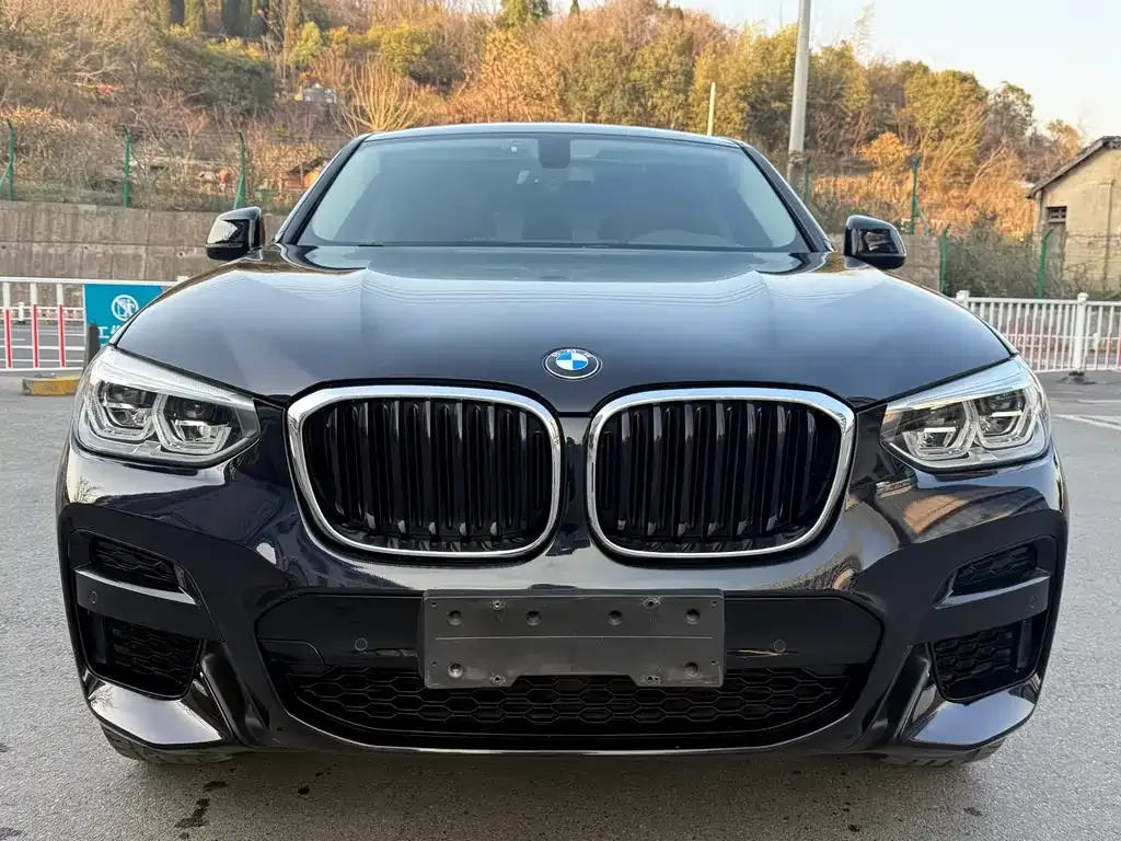 BMW X4 — фото 4