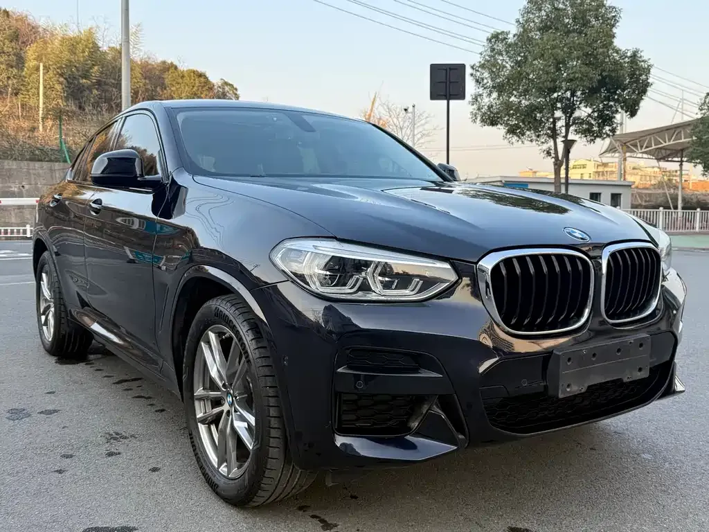 BMW X4 — фото 9