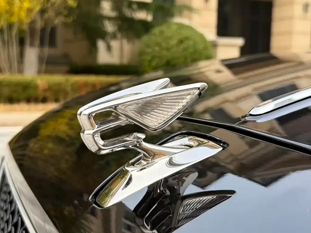 Bentley Flying Spur — фото 3