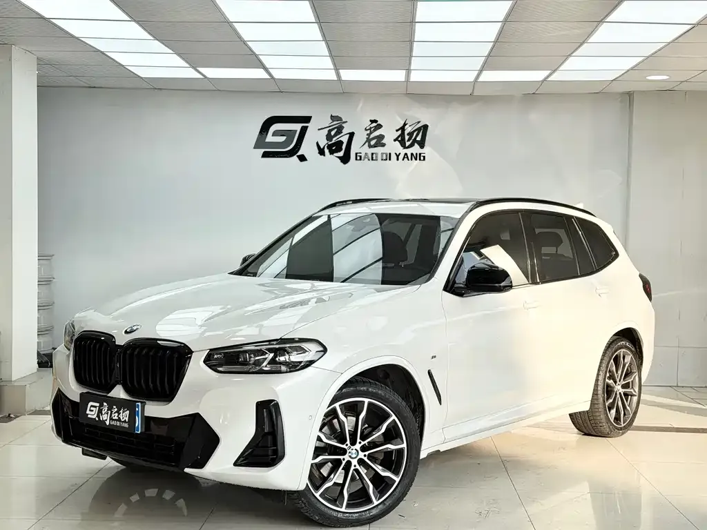BMW X3 — фото 1