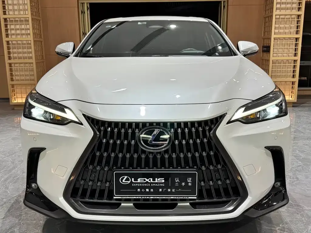 Lexus NX — фото 6