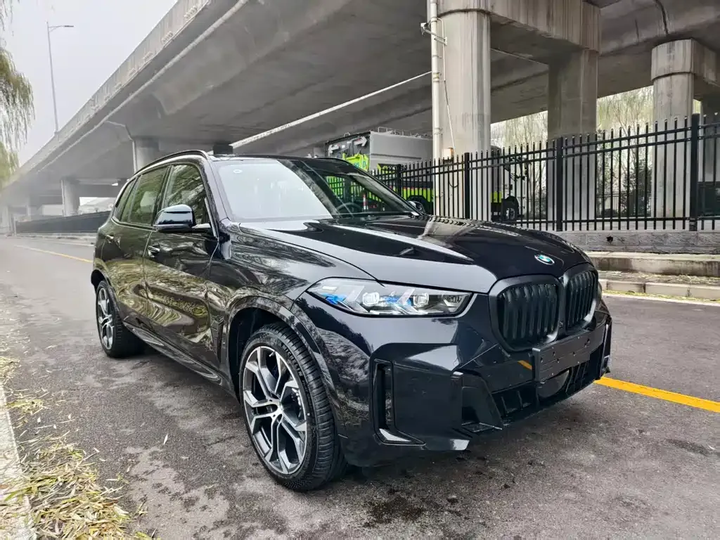BMW X5 — фото 4