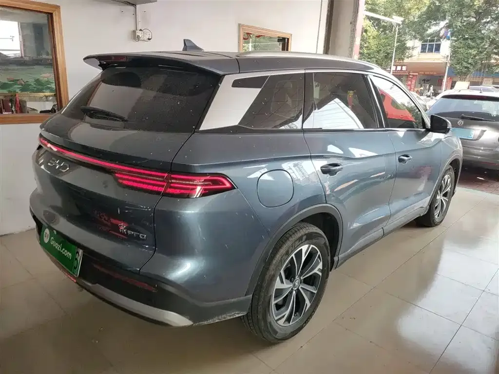 BYD Pro New Energy — фото 9