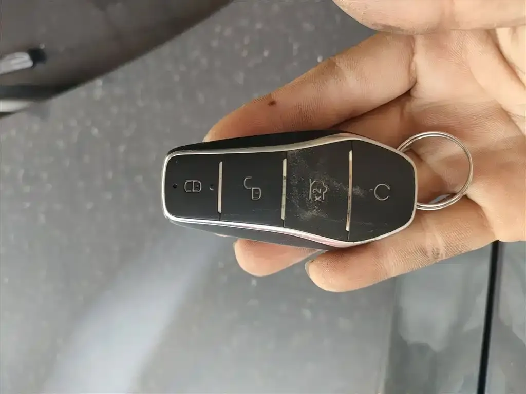 BYD Pro New Energy — фото 2