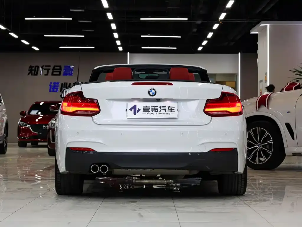 BMW 2 Series (Import) — фото 4