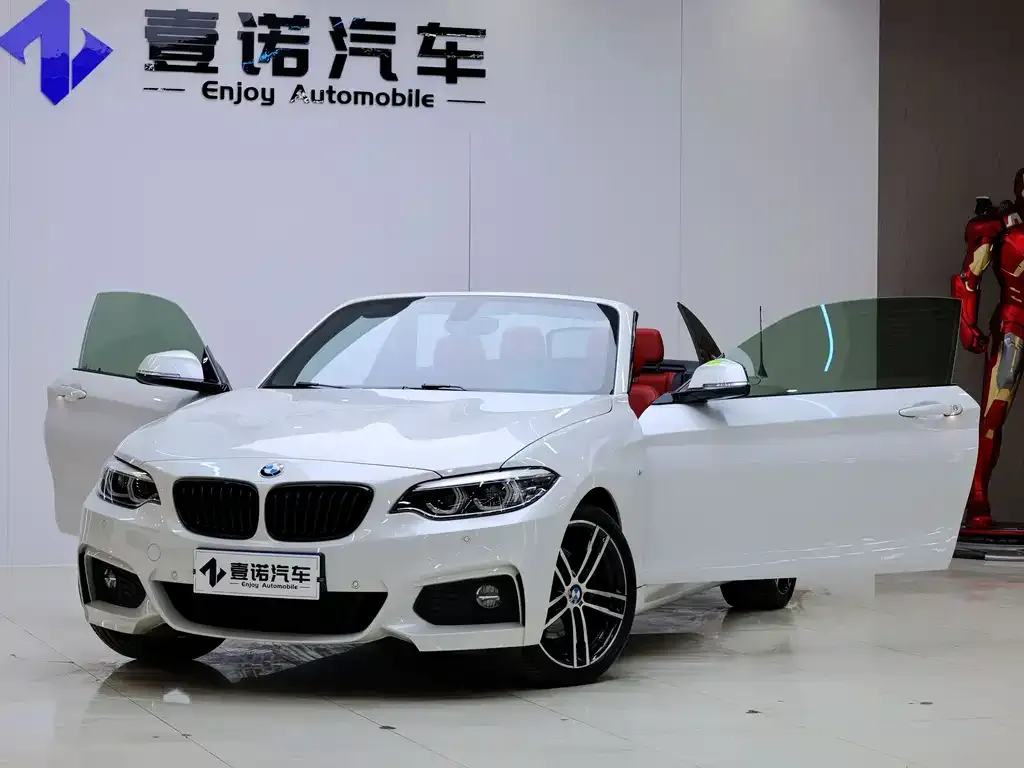 BMW 2 Series (Import) — фото 8