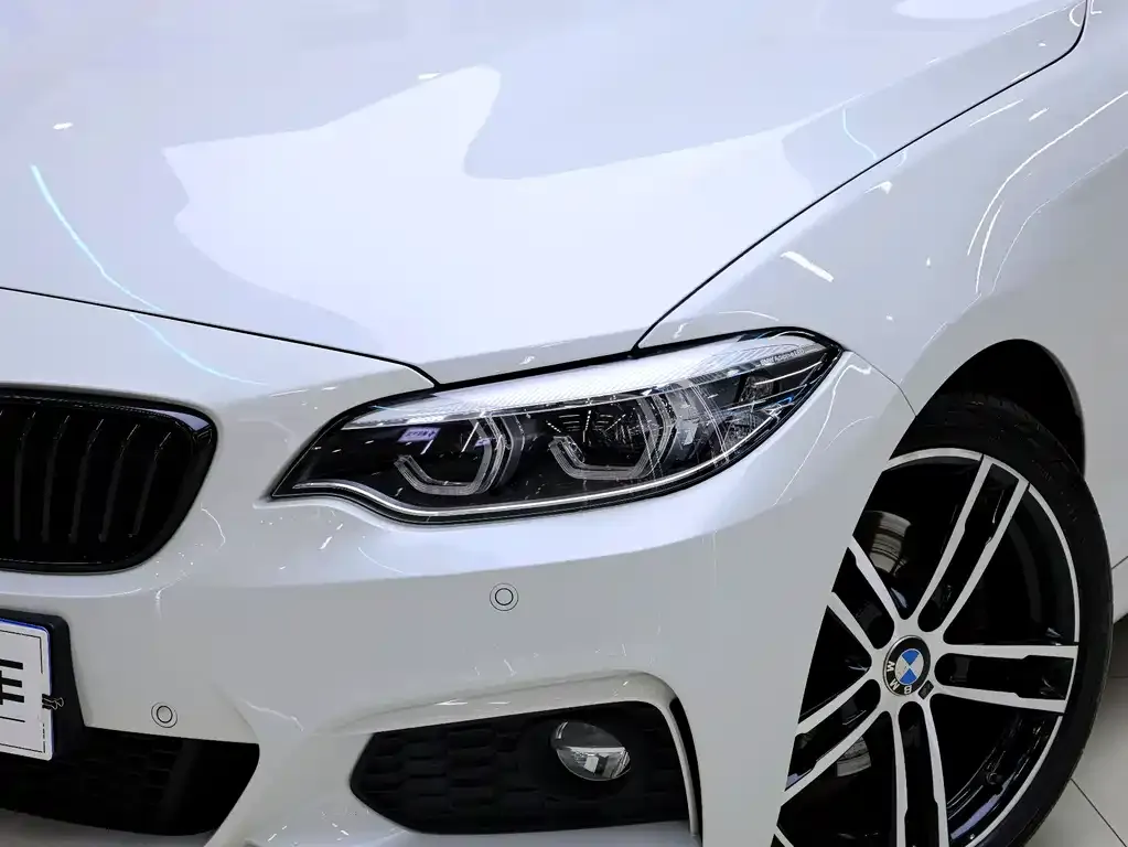 BMW 2 Series (Import) — фото 10