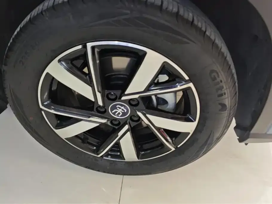 BYD Pro New Energy — фото 6