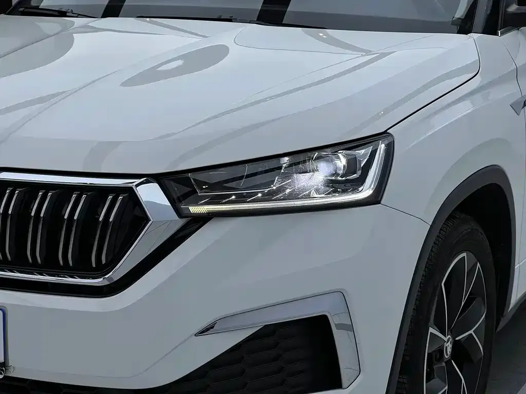 Skoda Kamiq — фото 10
