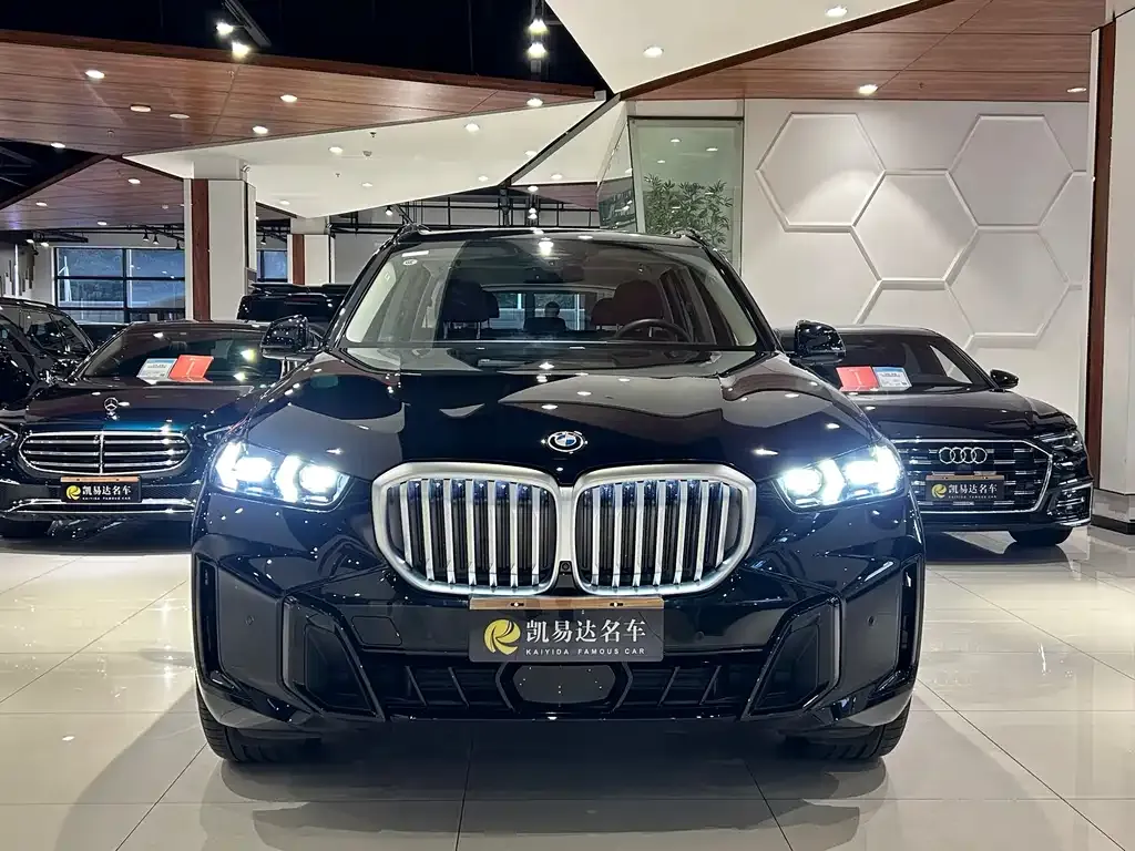 BMW X5 — фото 10