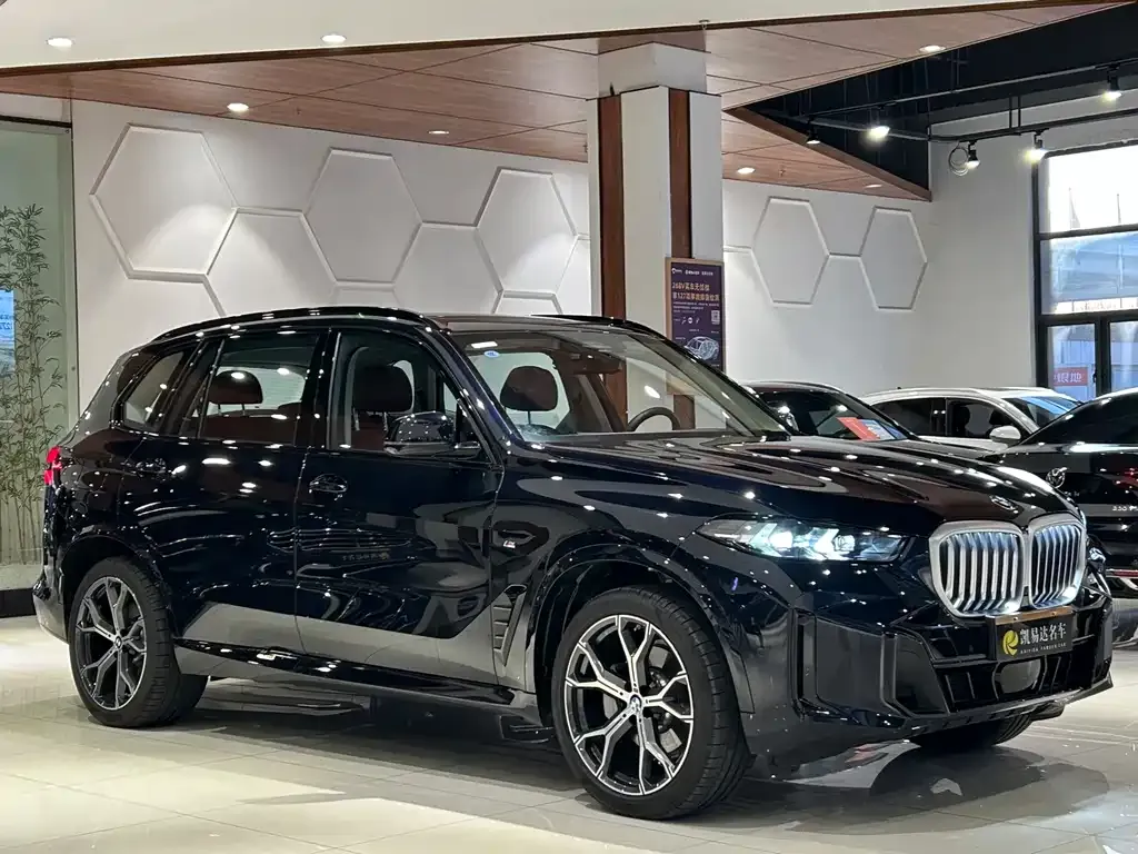 BMW X5 — фото 9
