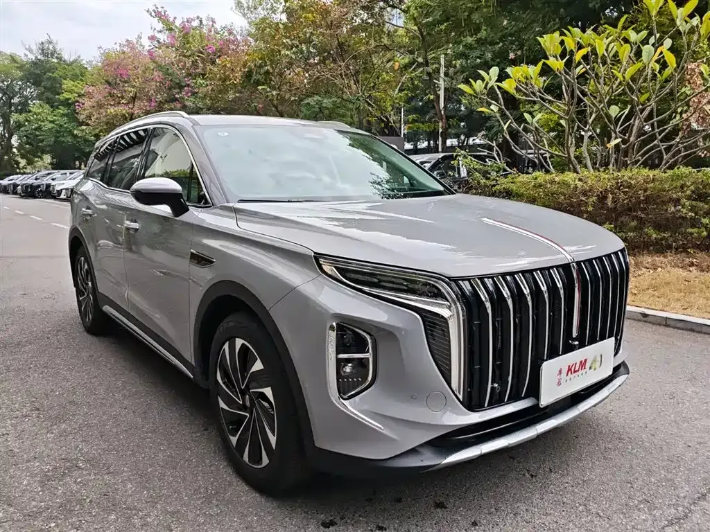Hongqi HS7 PHEV — фото 10