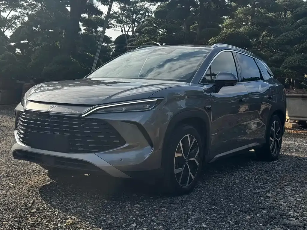 BYD L DM-i — фото 1