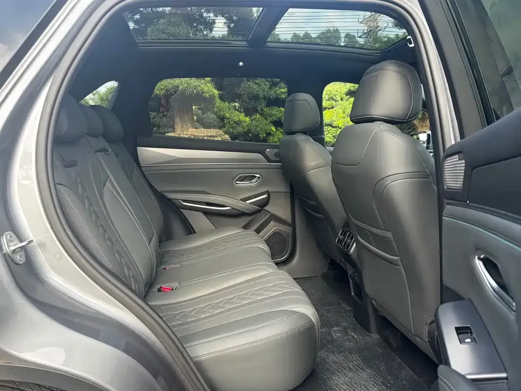 BYD L DM-i — фото 10