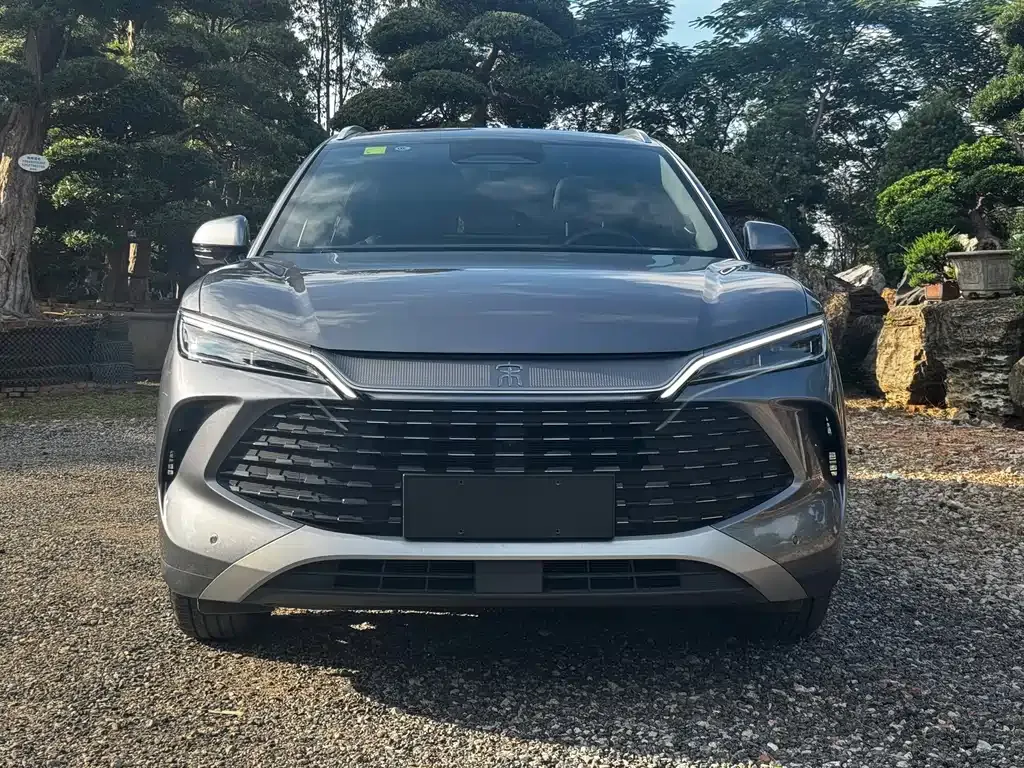 BYD L DM-i — фото 2