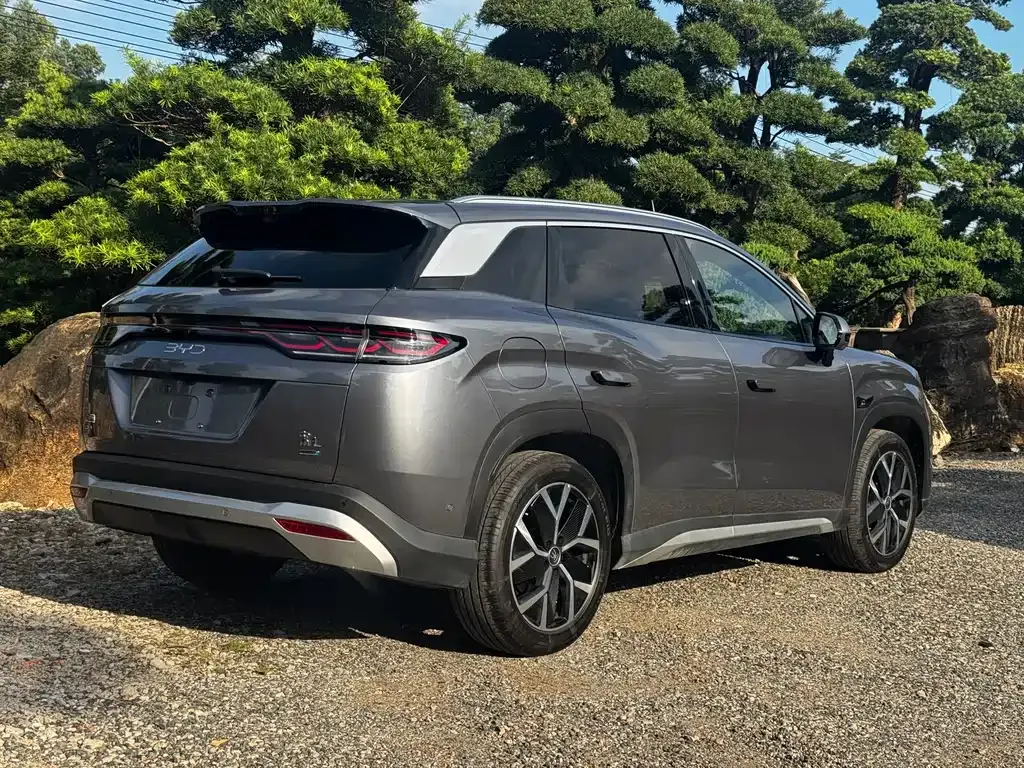 BYD L DM-i — фото 7