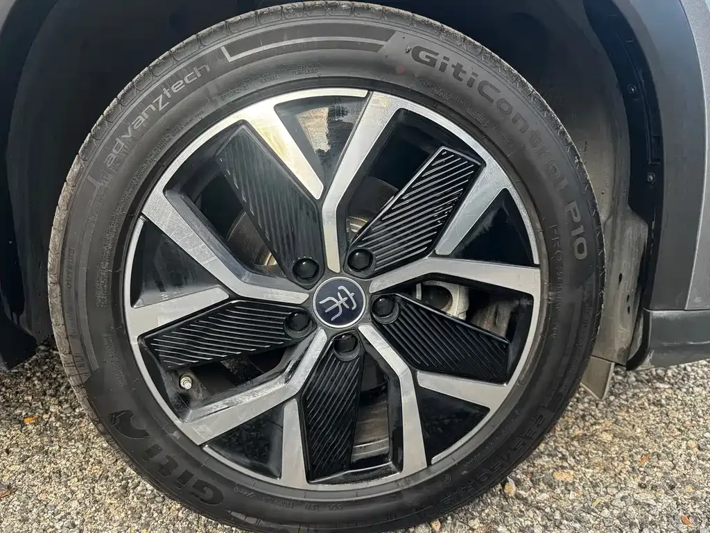 BYD L DM-i — фото 8