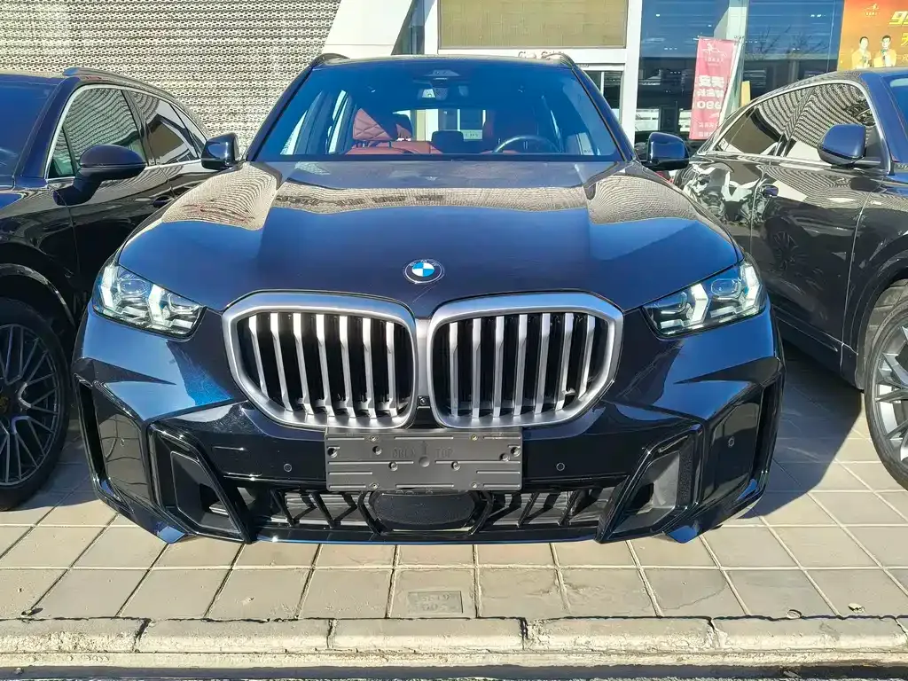 BMW X5 — фото 10