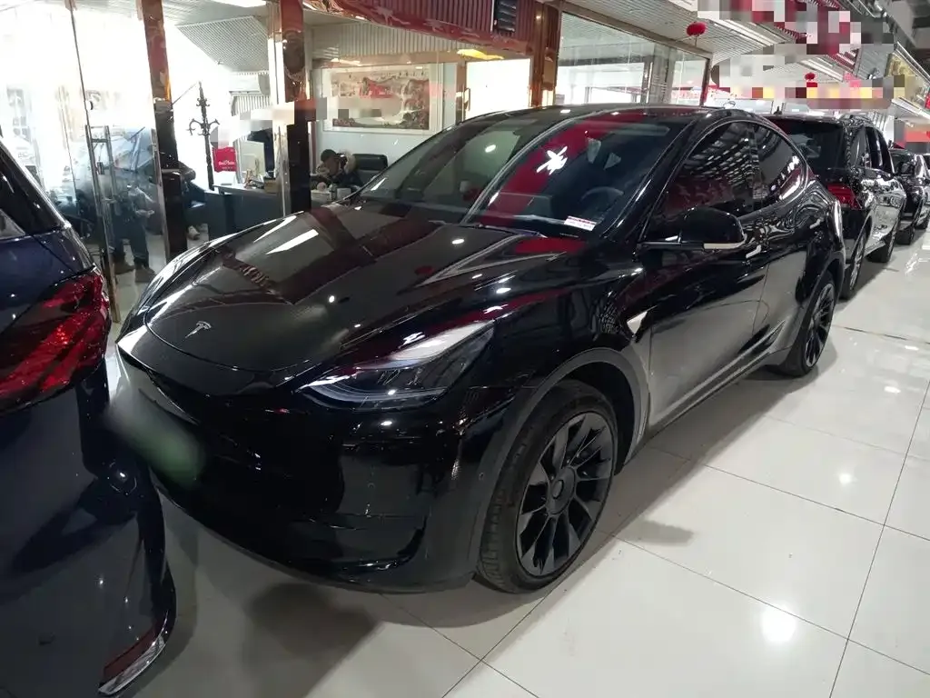Tesla Model Y — фото 10
