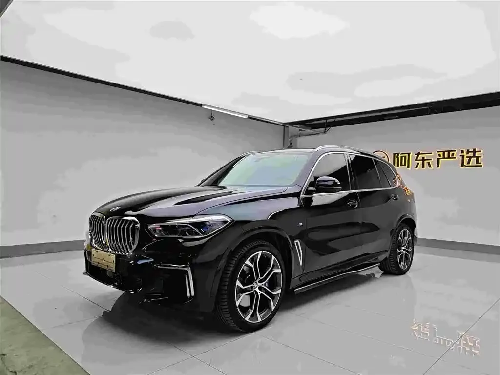 BMW X5 — фото 10