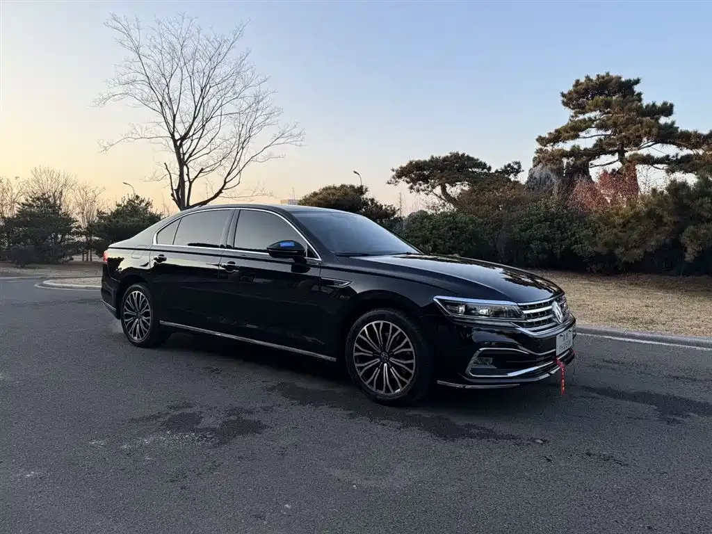 Volkswagen Phideon — фото 4