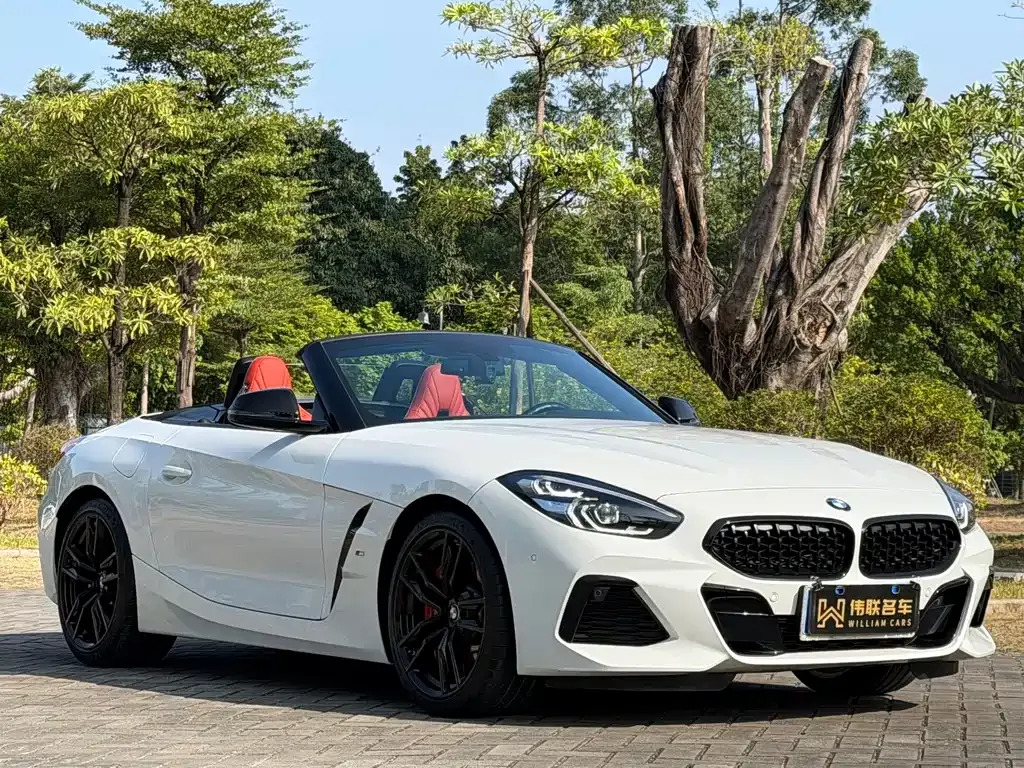 BMW Z4 — фото 10