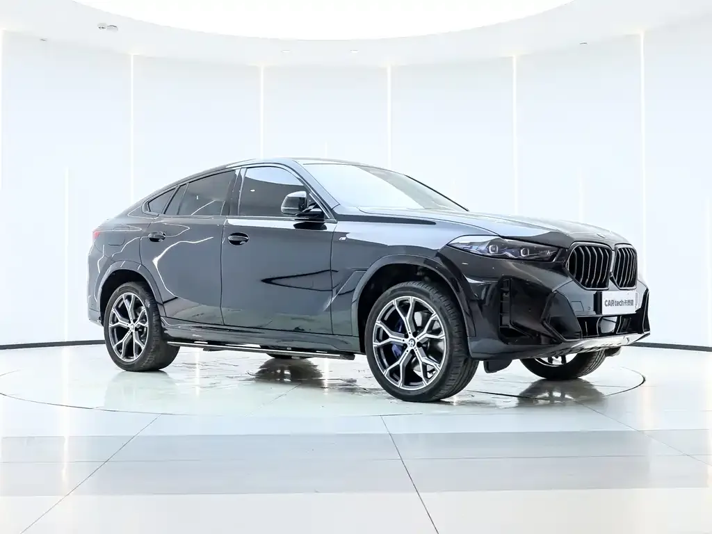 BMW X6 — фото 6