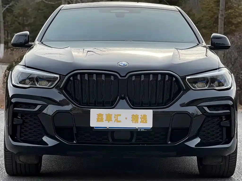 BMW X6 — фото 5