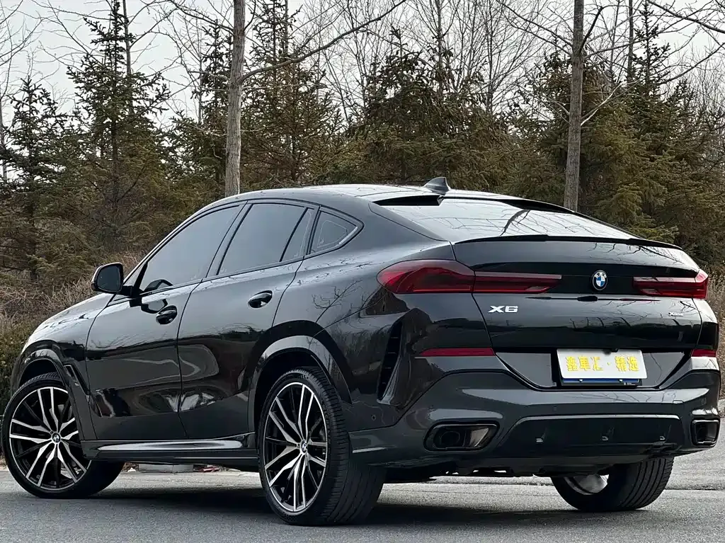 BMW X6 — фото 8