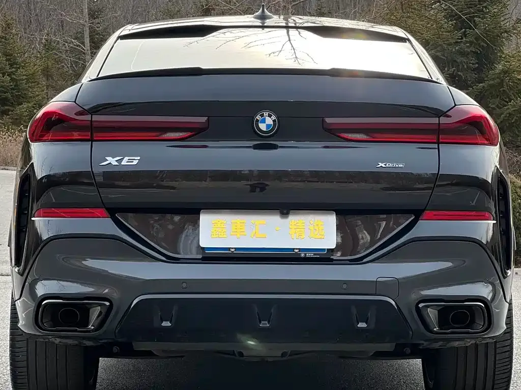 BMW X6 — фото 10