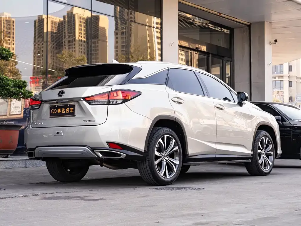 Lexus RX — фото 10