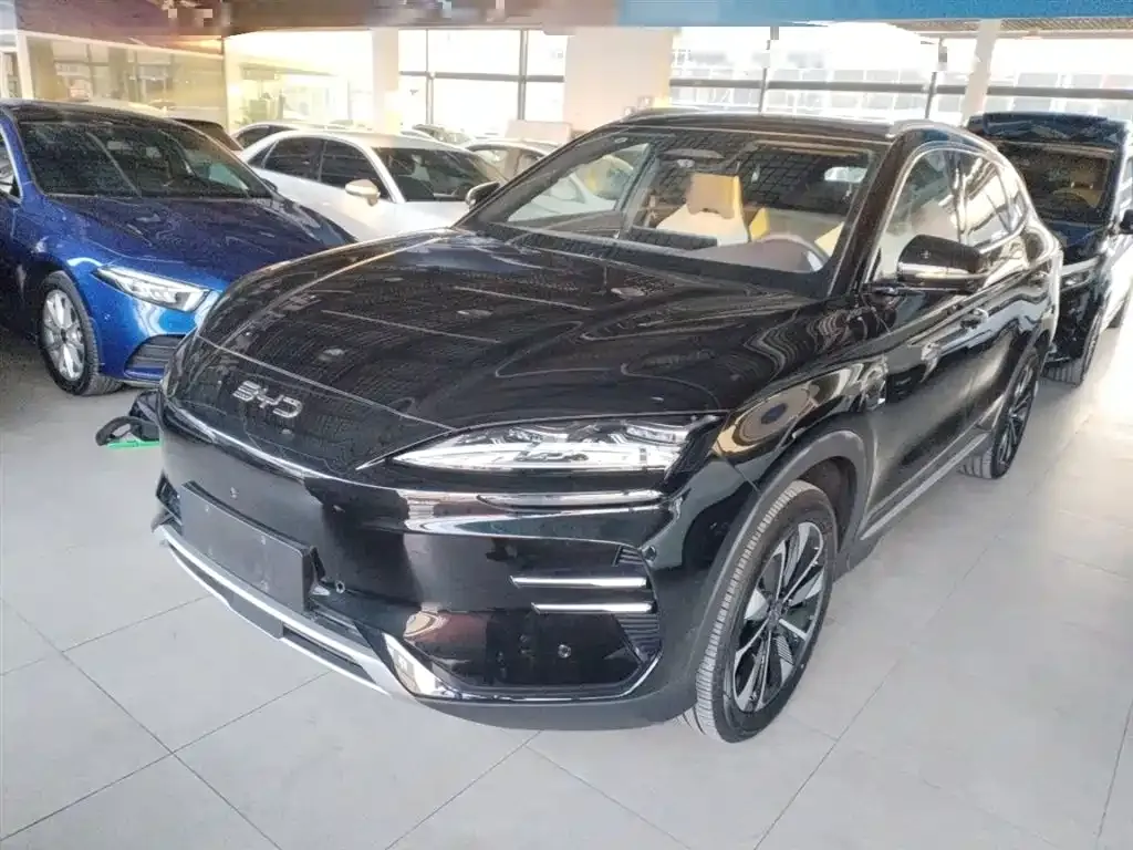BYD PLUS New Energy — фото 10