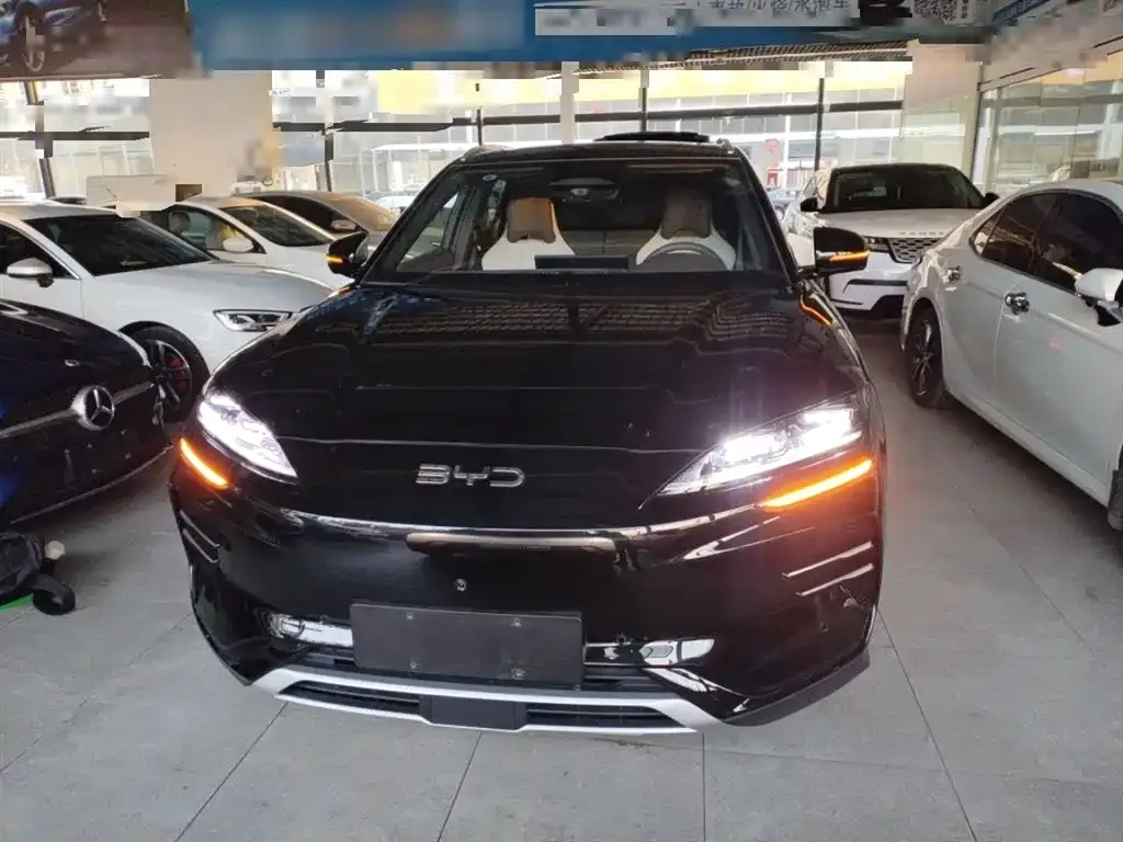 BYD PLUS New Energy — фото 2