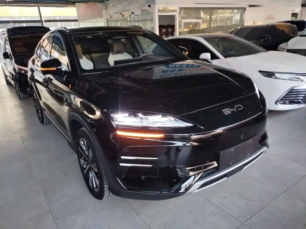 BYD PLUS New Energy — фото 4