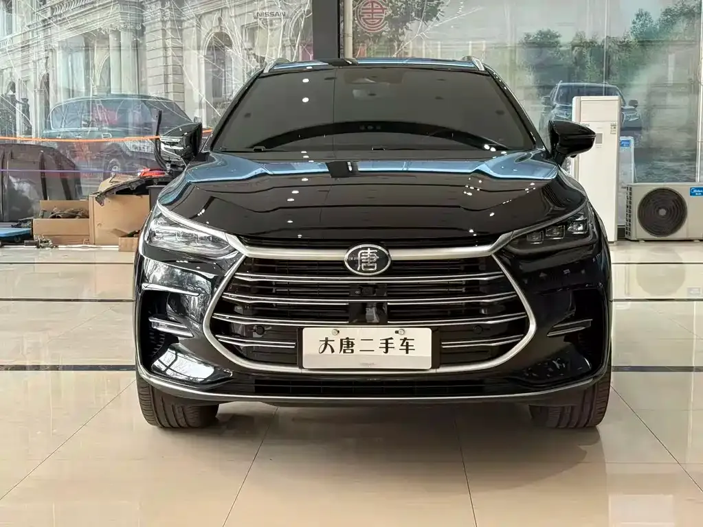 BYD Tang New Energy — фото 2