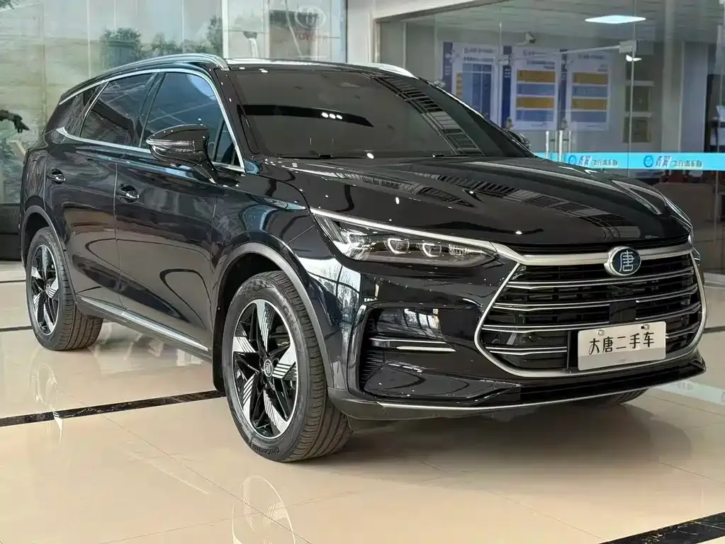 BYD Tang New Energy — фото 7