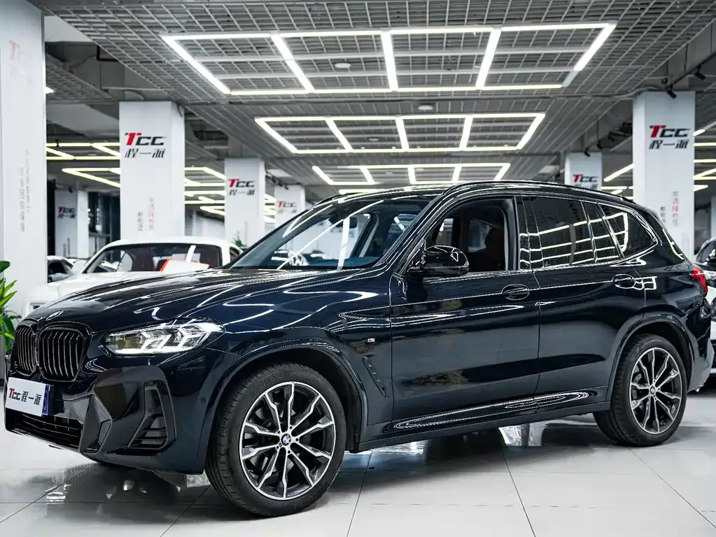 BMW X3 — фото 1