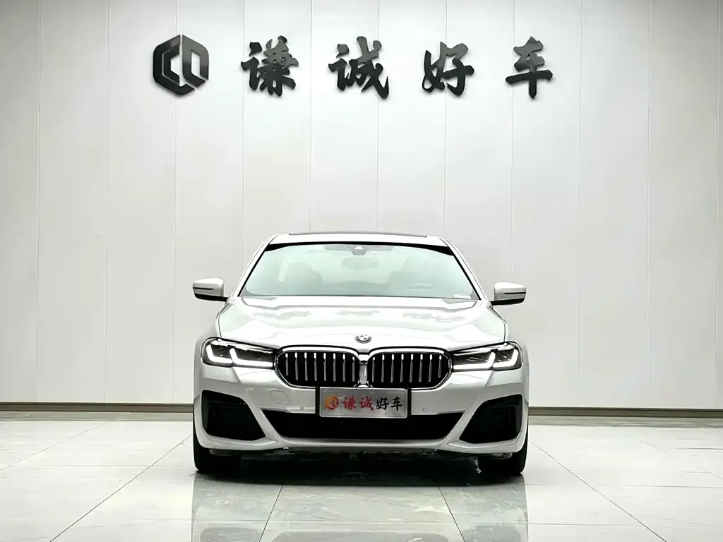 BMW 5 Series New Energy — фото 3