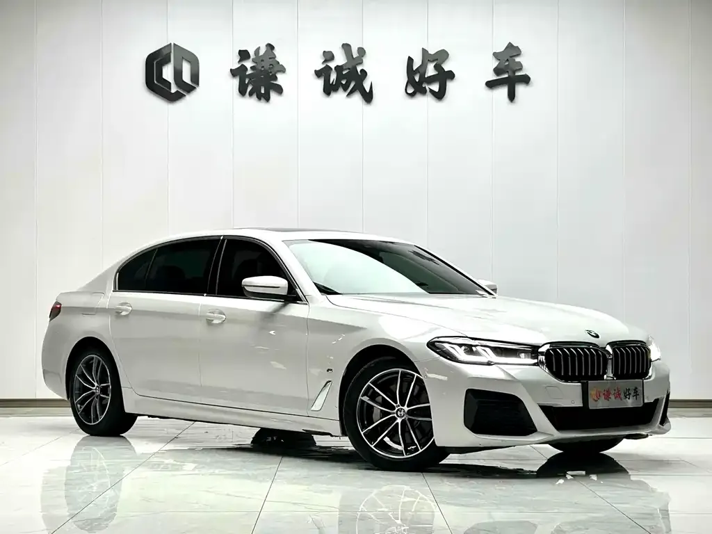 BMW 5 Series New Energy — фото 4