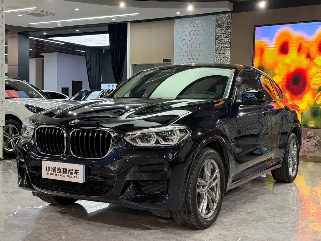 BMW X4 — фото 1
