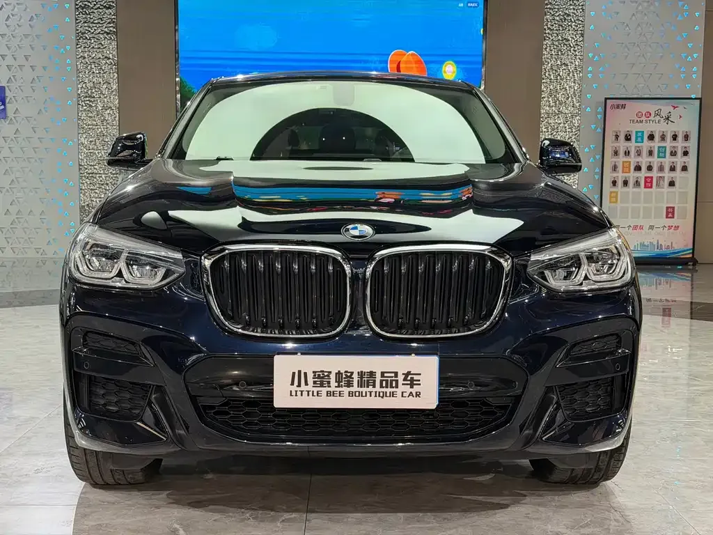 BMW X4 — фото 10